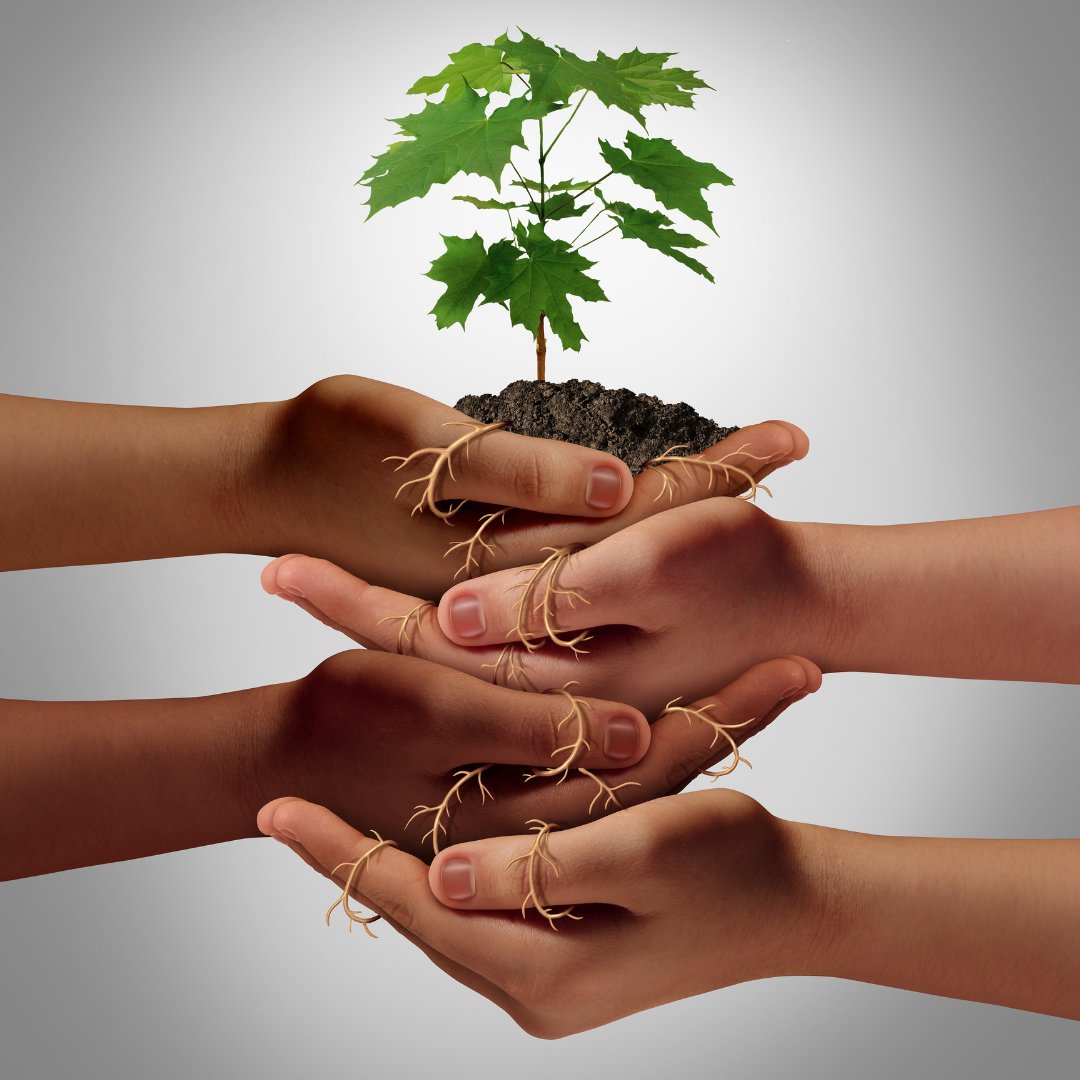 Environmental Responsibility